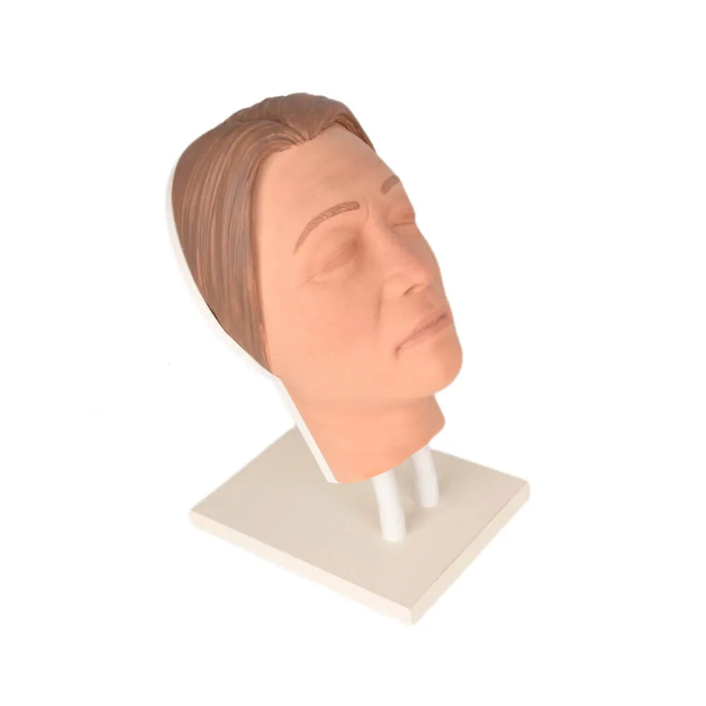 FACIAL INJECTION MANNEQUIN